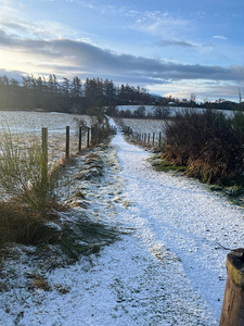 Snow Walk Through the Scottish Highlands 